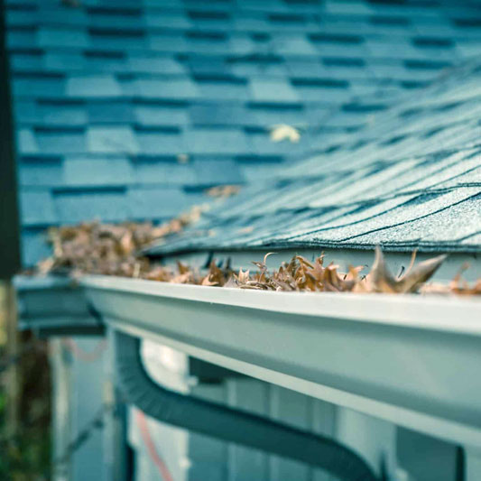 Gutters with leaves in them